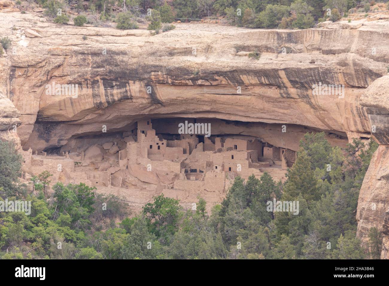 Colorado, Mesa Verde National Park cliff dwellings : Cliff Palace Stock ...