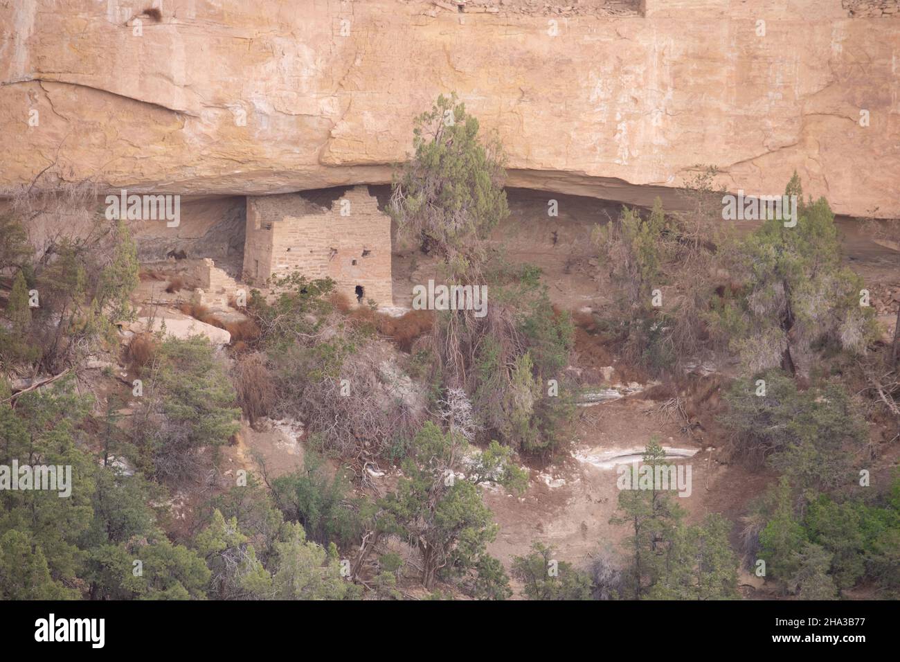 Meas Verde, Colorado, Cliff dwellings, - Cliff Palace Stock Photo