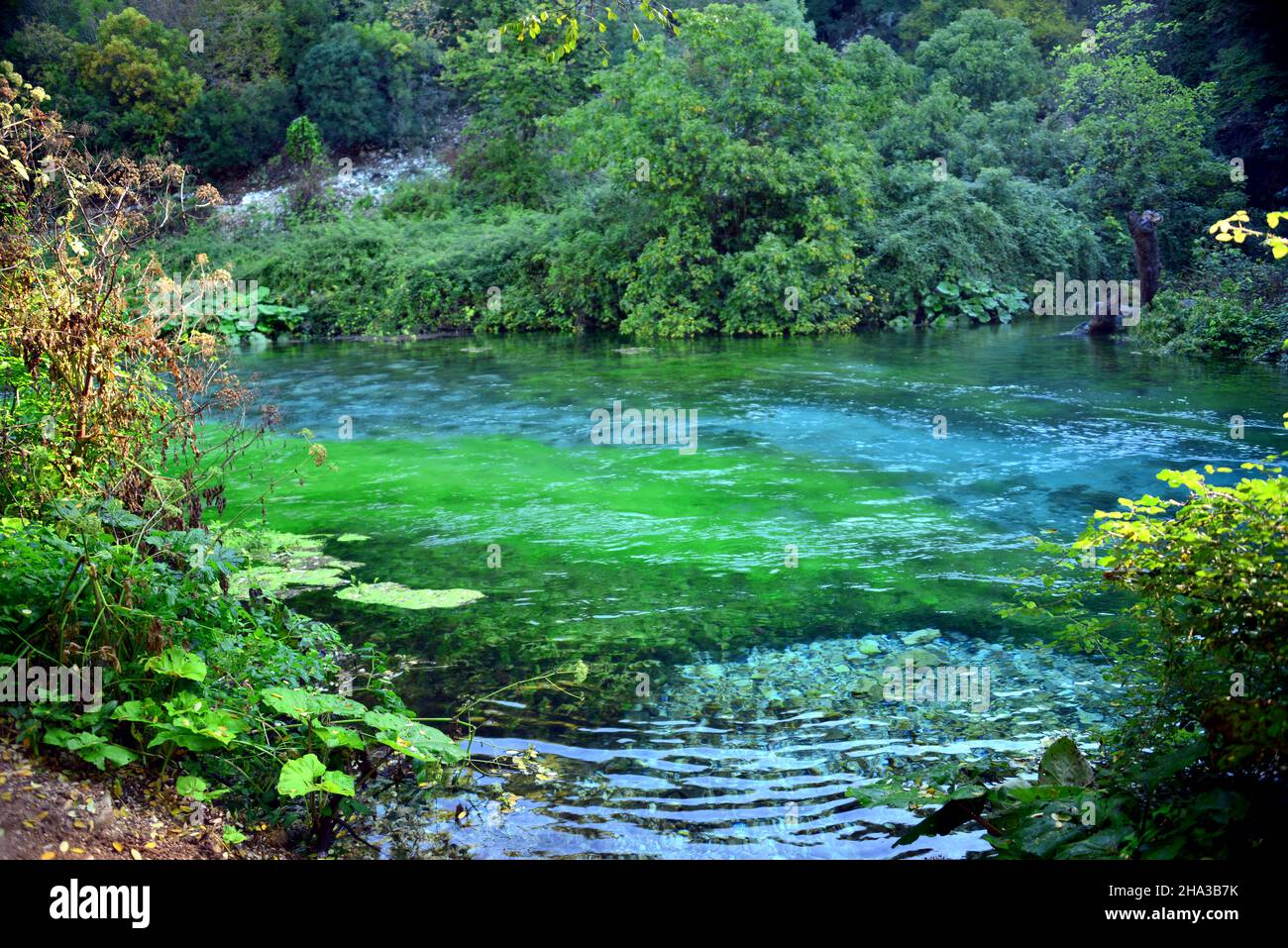 Syri i Kaltër is a karst spring, the depth of which is still unknown, hidden in the middle of a dense forest of oaks and sycamores. Stock Photo