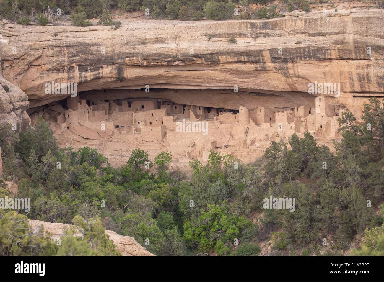 Colorado, Mesa Verde National Park cliff dwellings : Cliff Palace Stock ...
