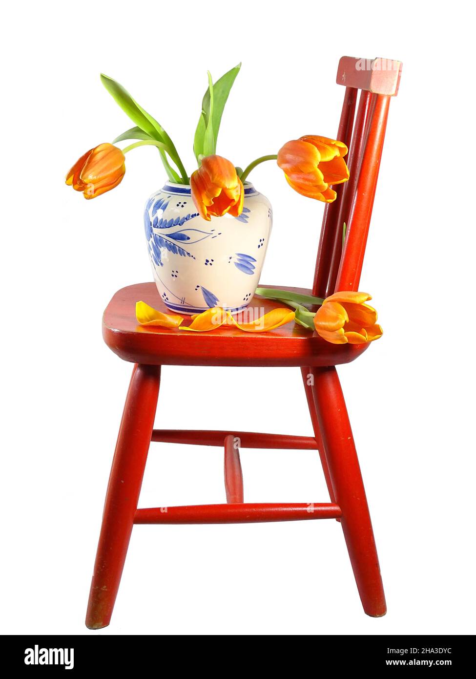 Three orange tulips in a vase on a red chair with a white background Stock Photo