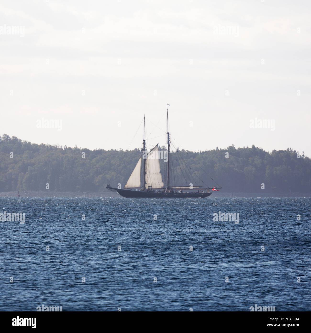 The Bluenose II sails in Halifax Harbour in Nova Scotia, Canada. Stock Photo
