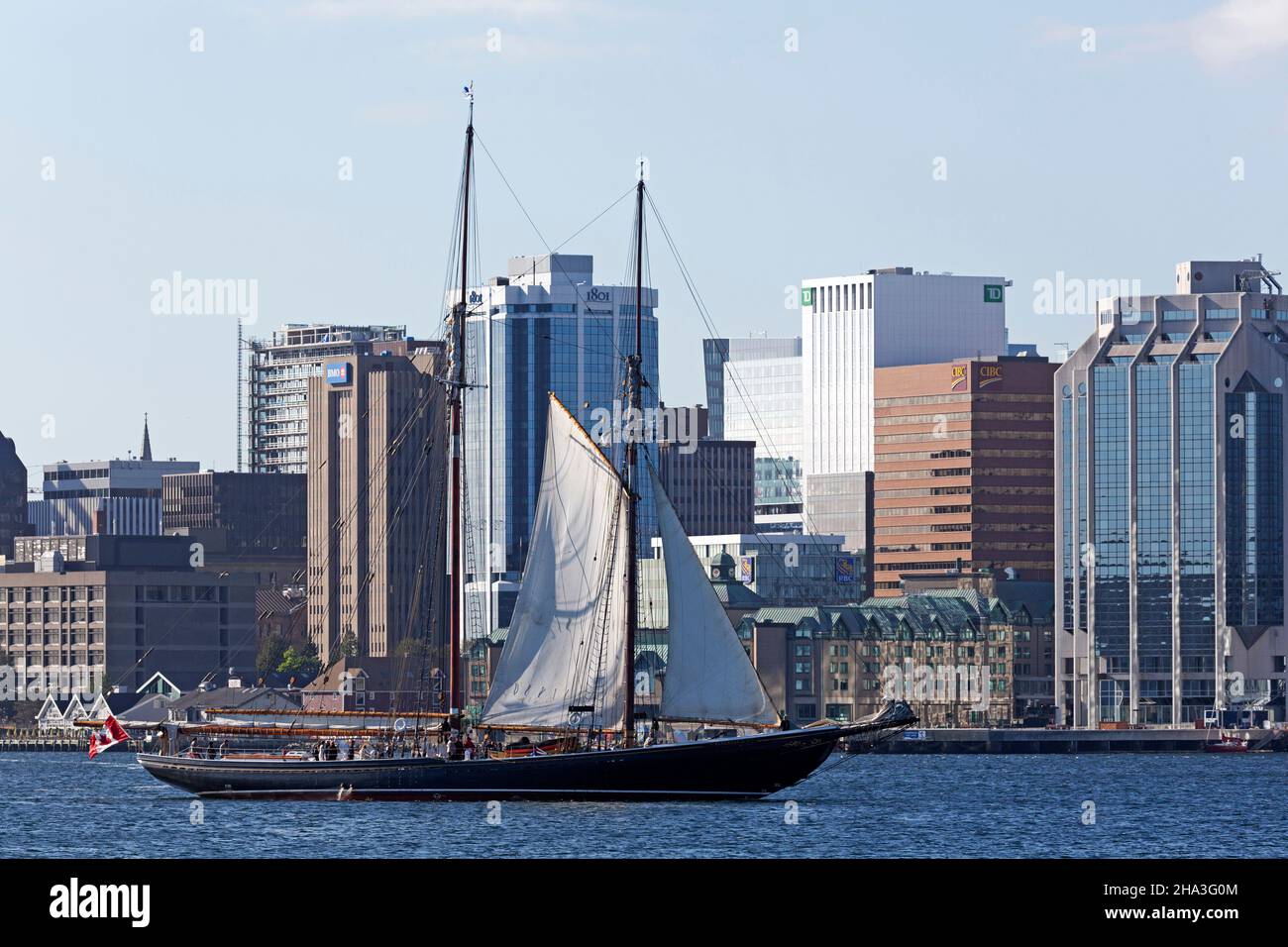 Bluenose II sailing in Halifax Harbour, Nova Scotia, Canada Stock Photo