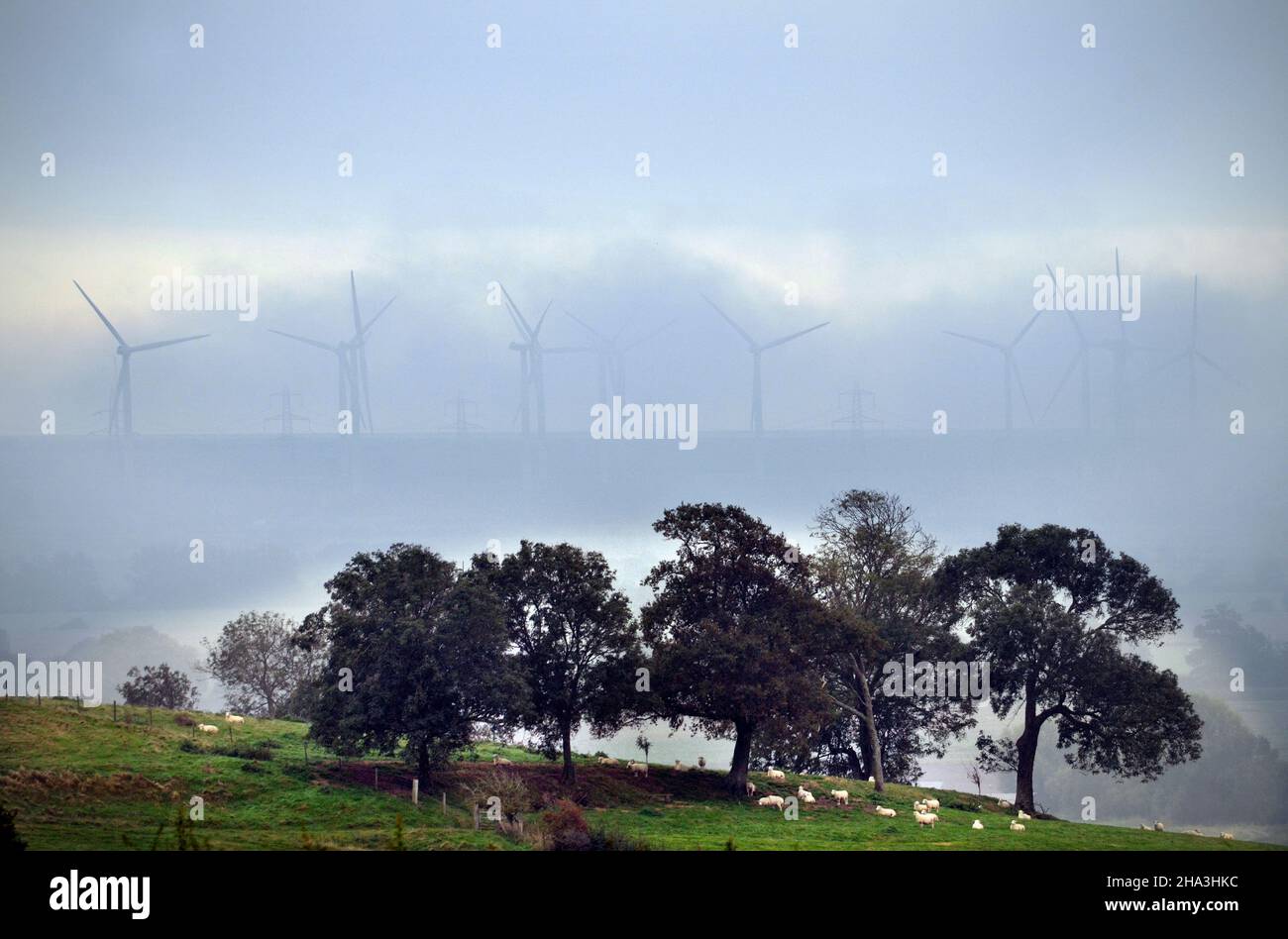 wind turbines on romney marshes from stone, kent england Stock Photo
