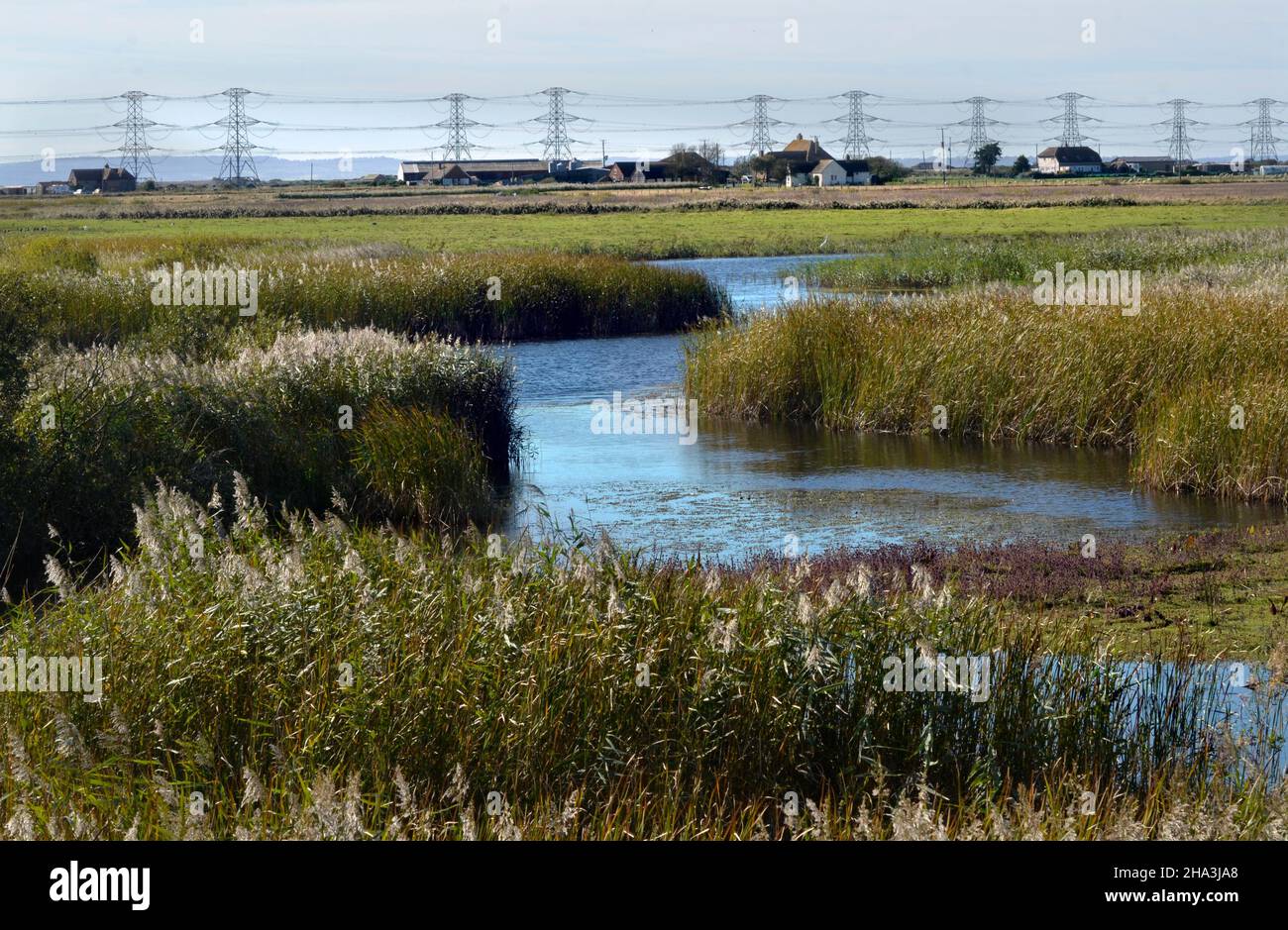 electricity pylons and powerlines running through romney marshes dungeness kent Stock Photo
