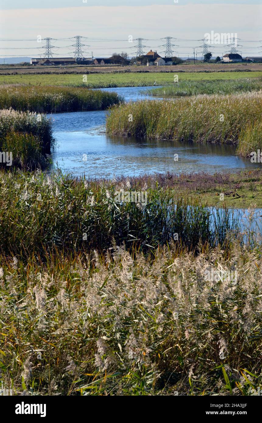 romney marshes kent Stock Photo