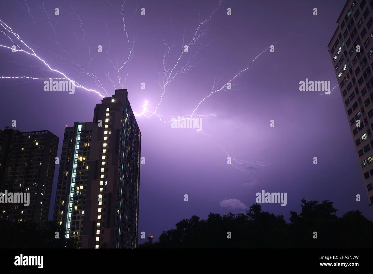 Spectacular Real Lightning Strikes in Dark Purple Urban Night Sky Stock Photo