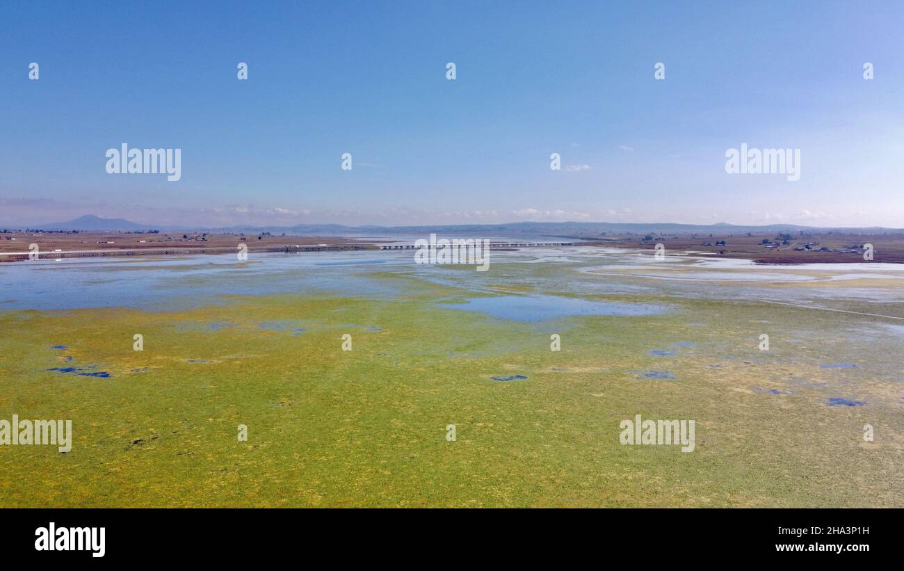 Beautiful view of stagnant water in a pond with abnormal growth of ...
