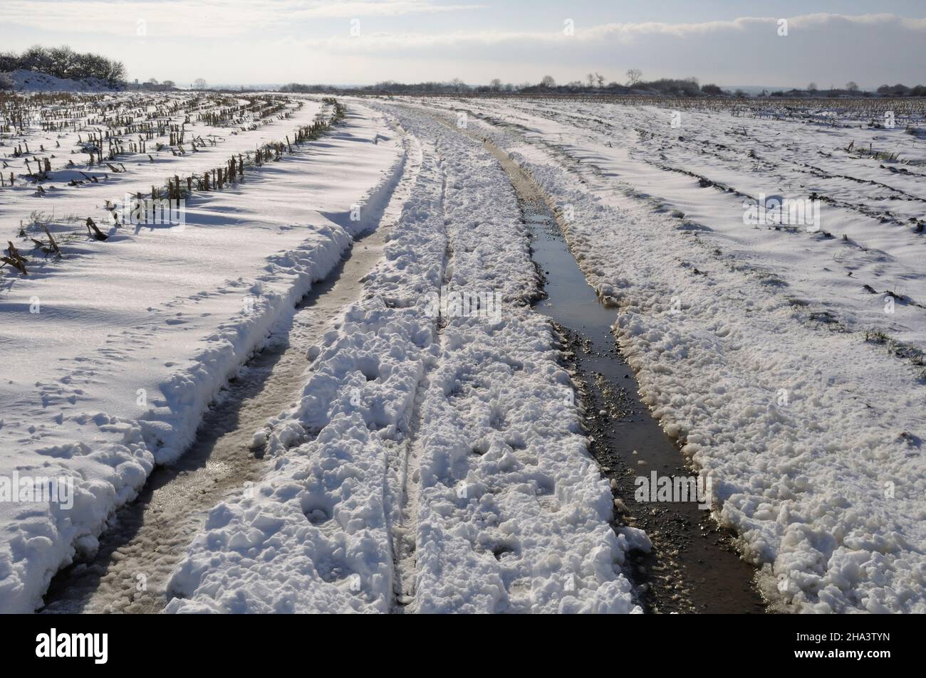 Path under the snow in Brittany Stock Photo Alamy