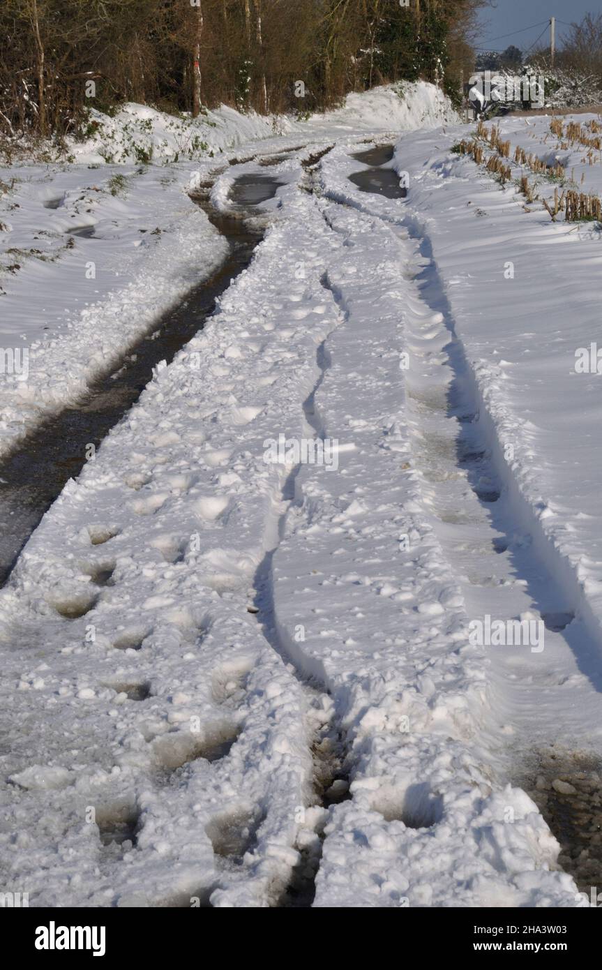 Path under the snow in Brittany Stock Photo Alamy