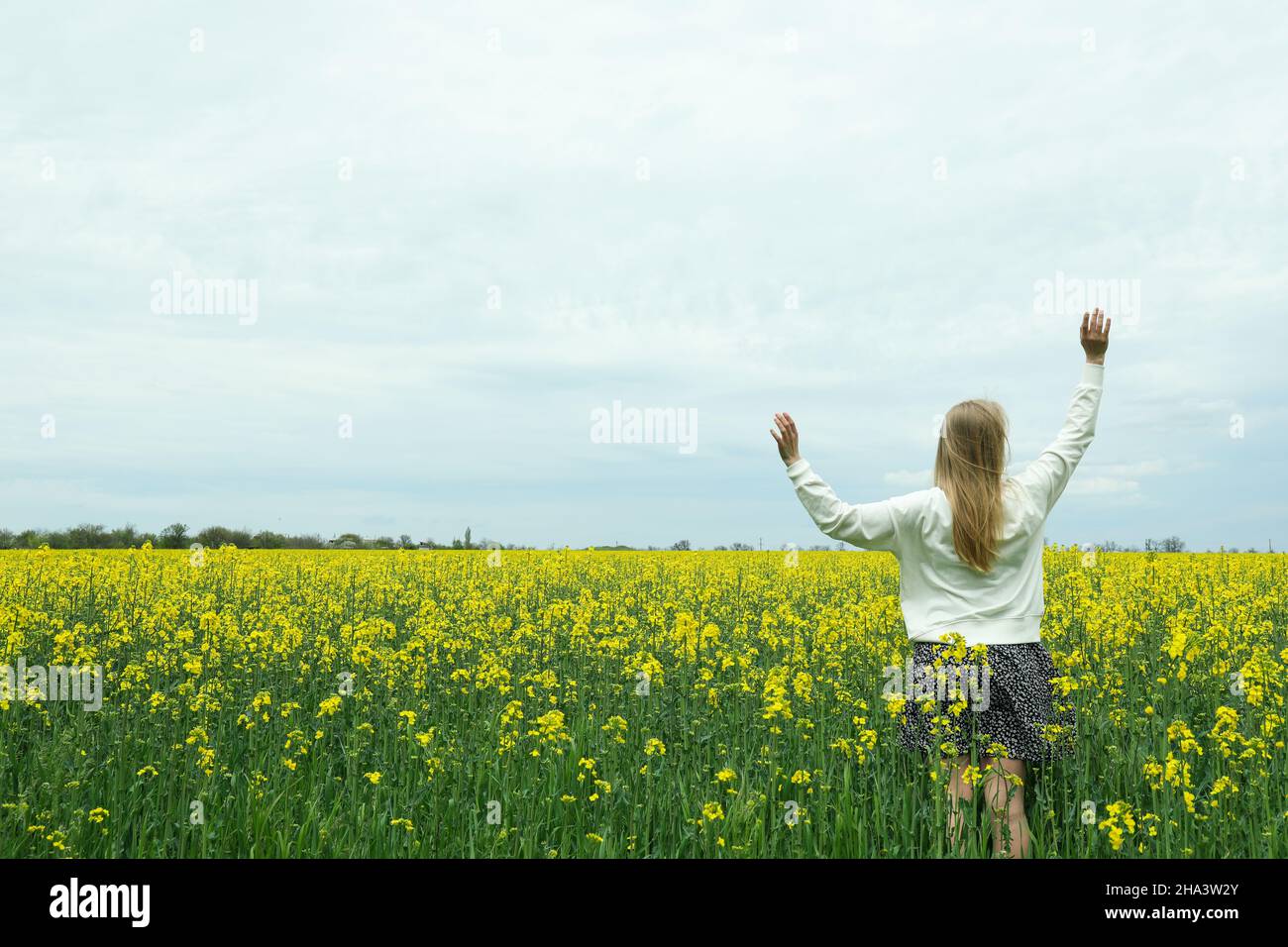 A girl stands in a rapeseed field on a summer day Stock Photo - Alamy
