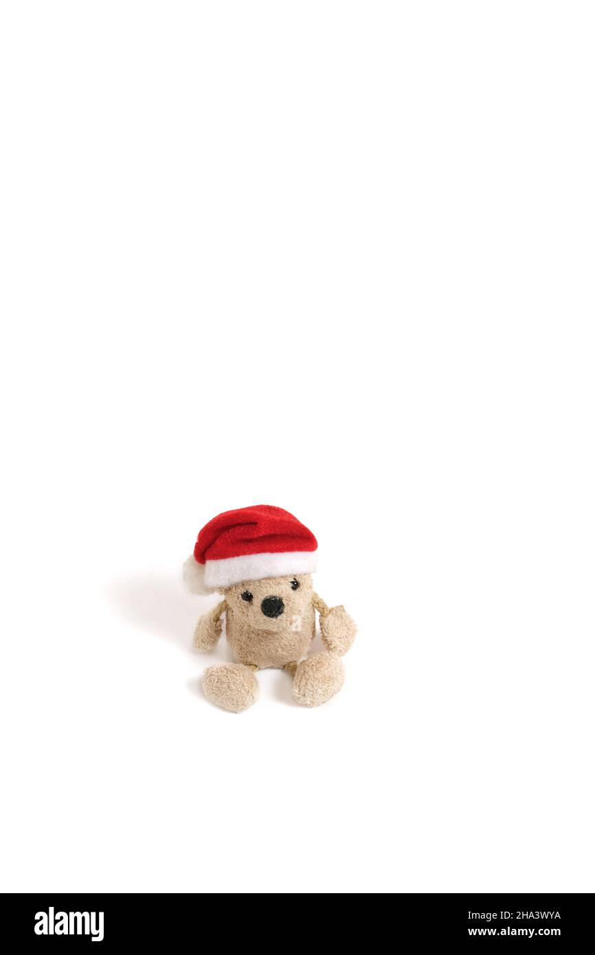 Stuffed teddy bear in a Santa Claus hat on a white background Stock ...