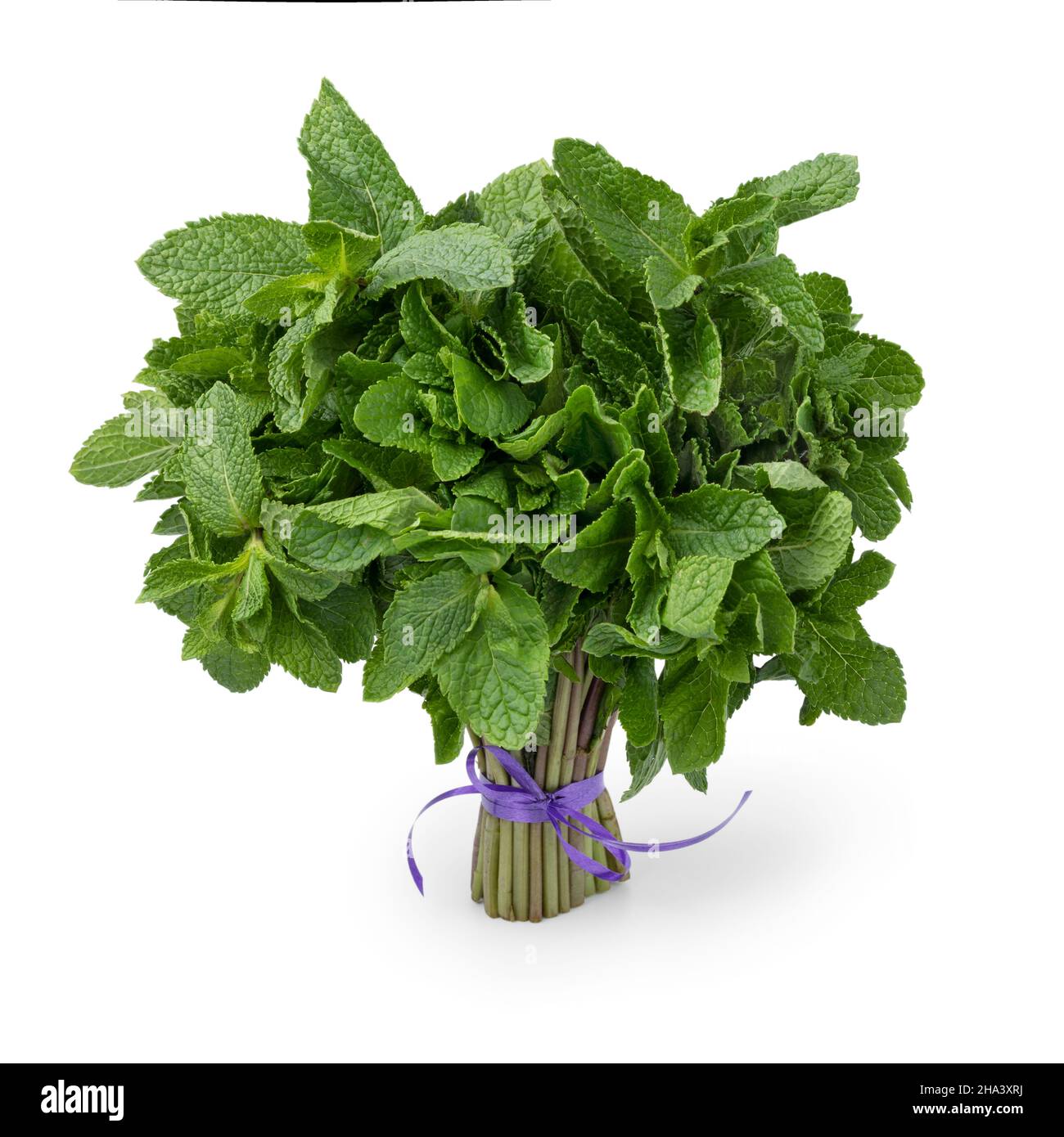Bouquet of fresh green mint isolated on white background Stock Photo