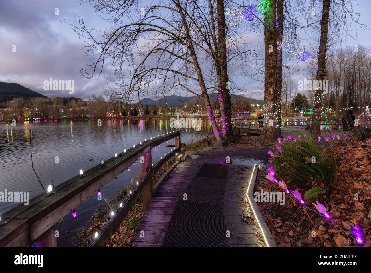 Trail in a park around Lafarge Lake with Christmas Lights Stock Photo