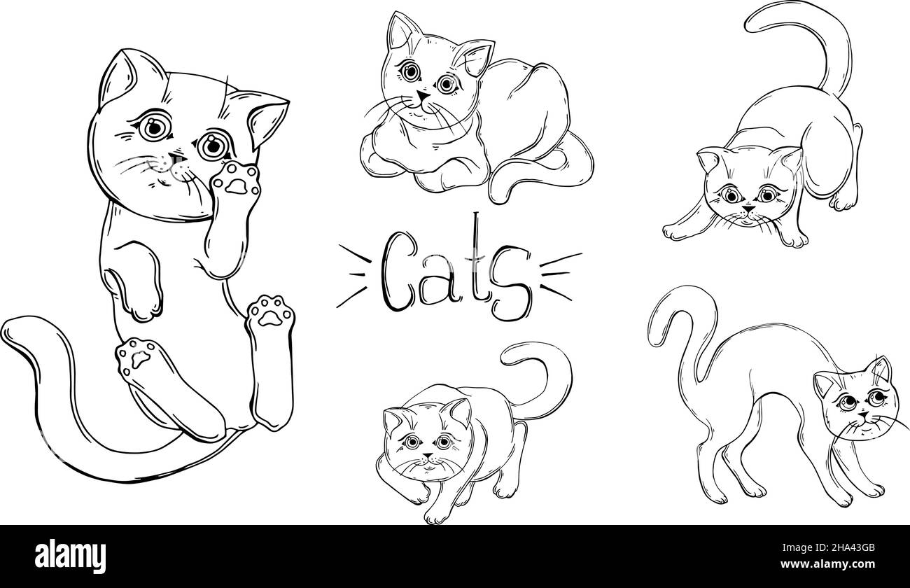 set of graphic black and white cats Stock Vector Image & Art Alamy