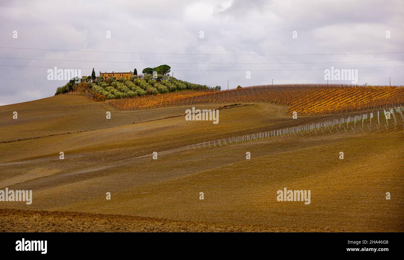 Typical rural fields and landscape in Tuscany Italy Stock Photo - Alamy