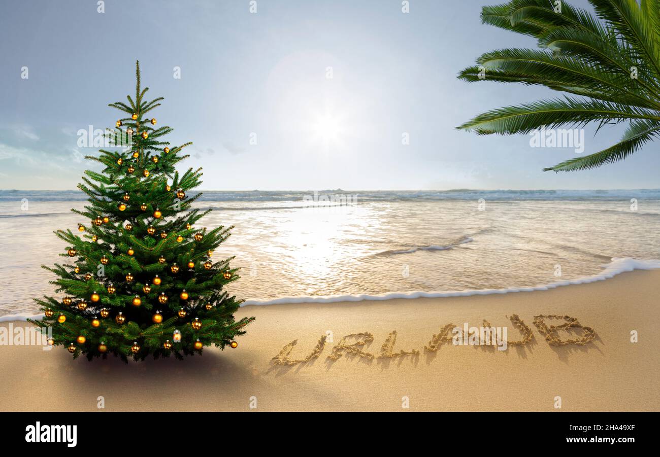 Christmas tree with palm trees on the beach hi res stock