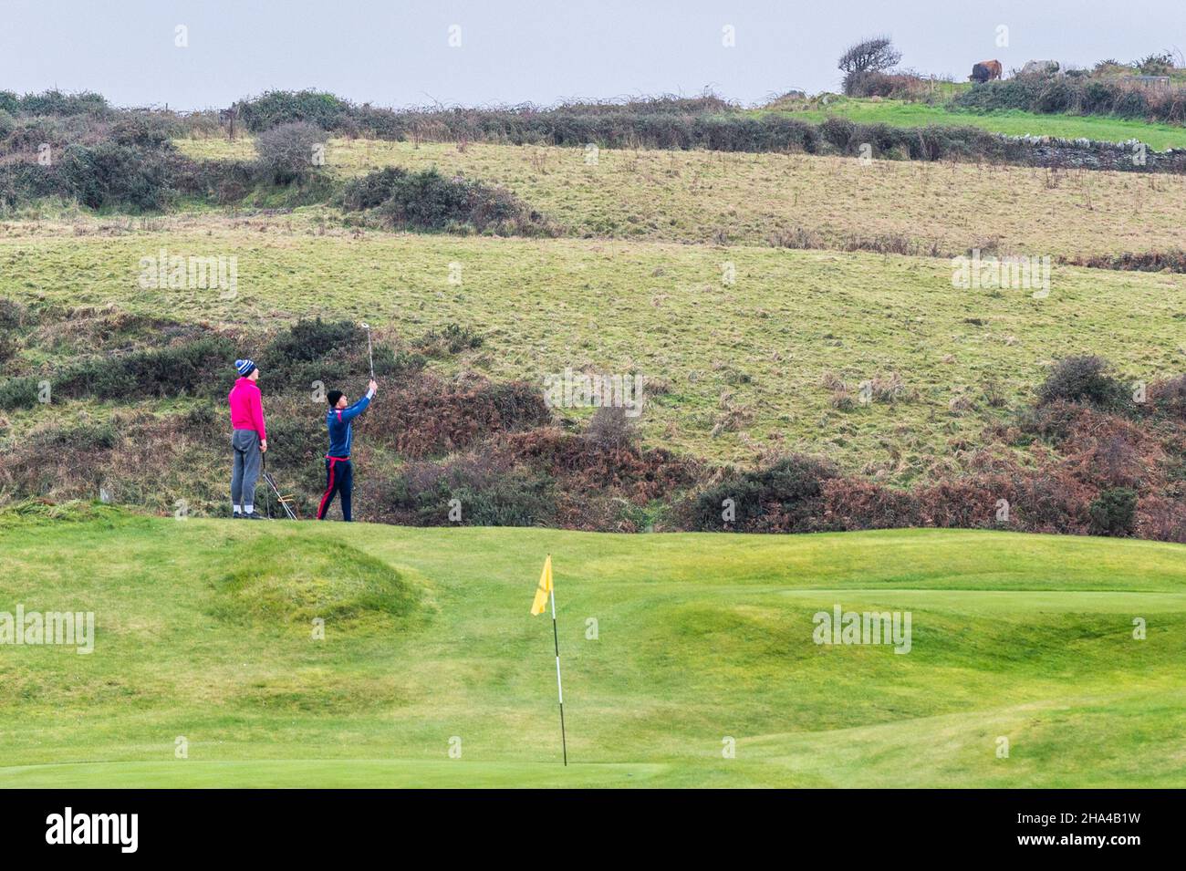 Rosscarbery pitch and putt hires stock photography and images Alamy