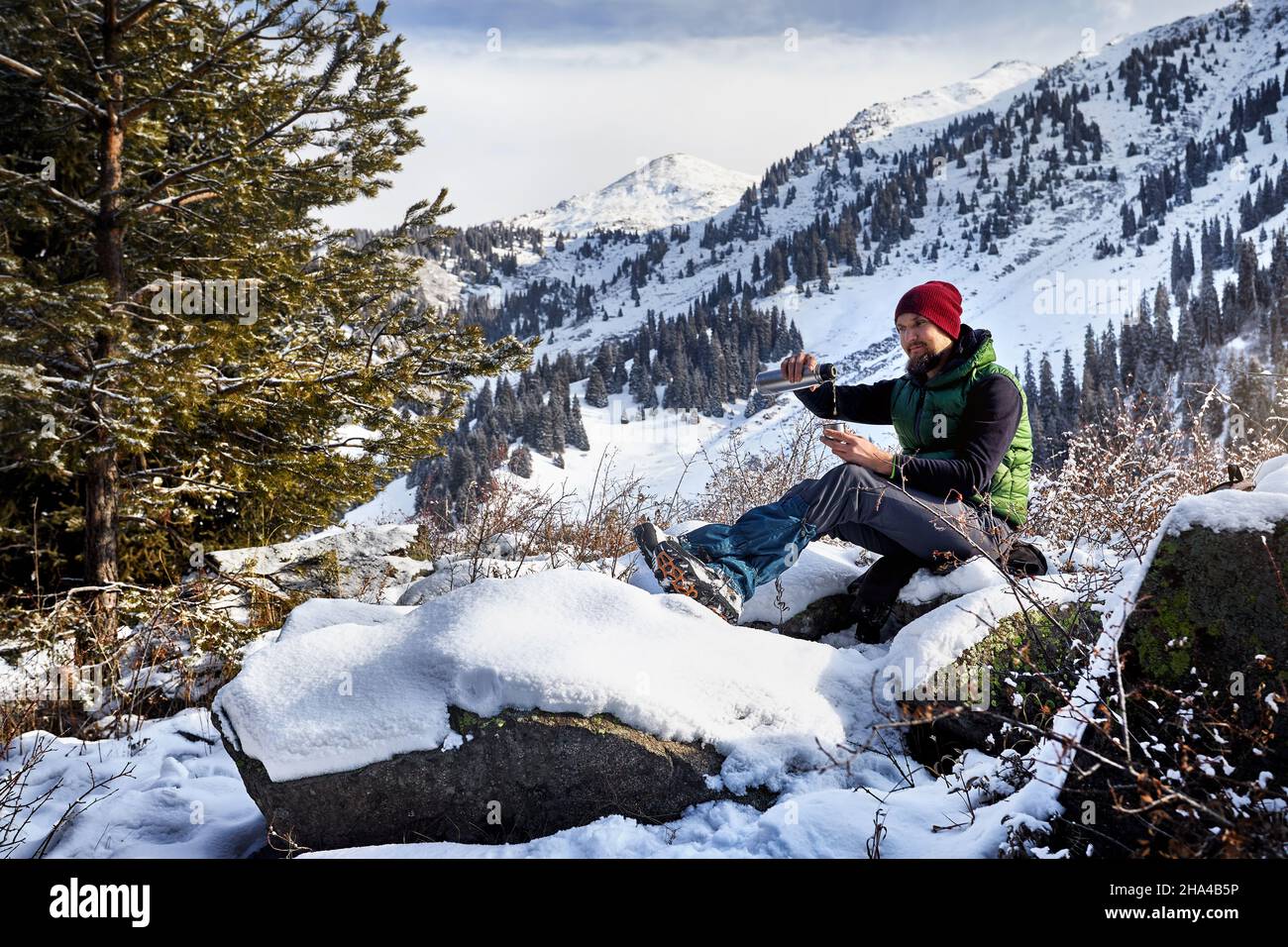 Man with beard in red hat pouring hot tea from thermos in the spruce forest against winter mountain background. Stock Photo