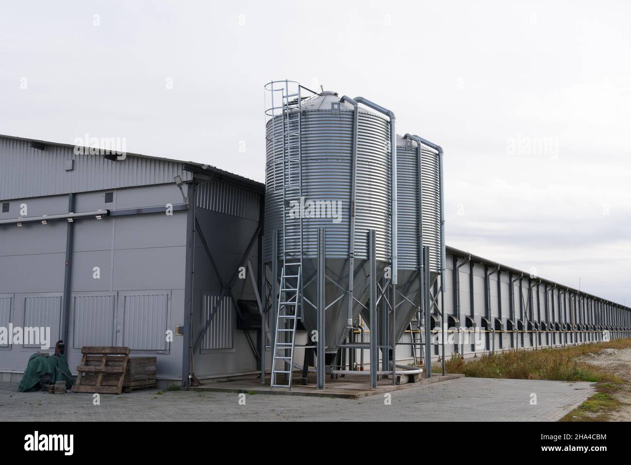 large scale commercial chicken farm with two grain storage silos for