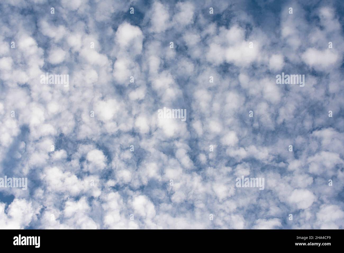 Beautiful blue sky with lots of small clouds Stock Photo - Alamy