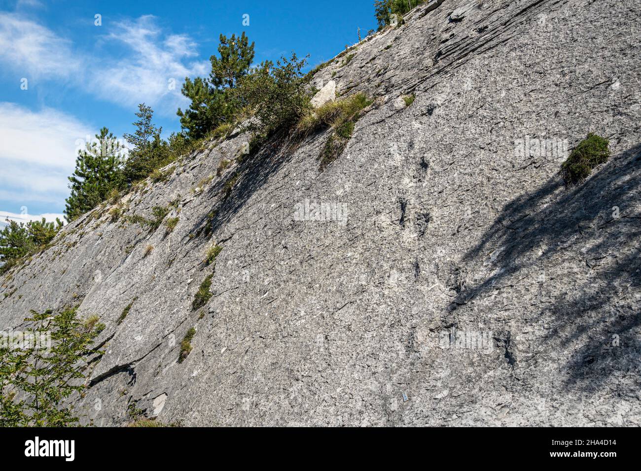 Dinosaur footprints on the rock. Dinosaur trail in Rovereto. Rovereto, Trentino Alto Adige, Italy, Europe Stock Photo