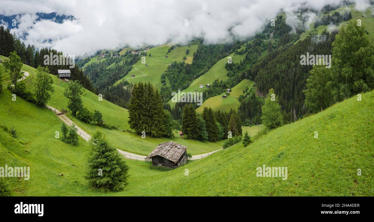beautiful idyllic nature green meadow landscape of alps mountains range on summer day. austria aerial photo. Stock Photo