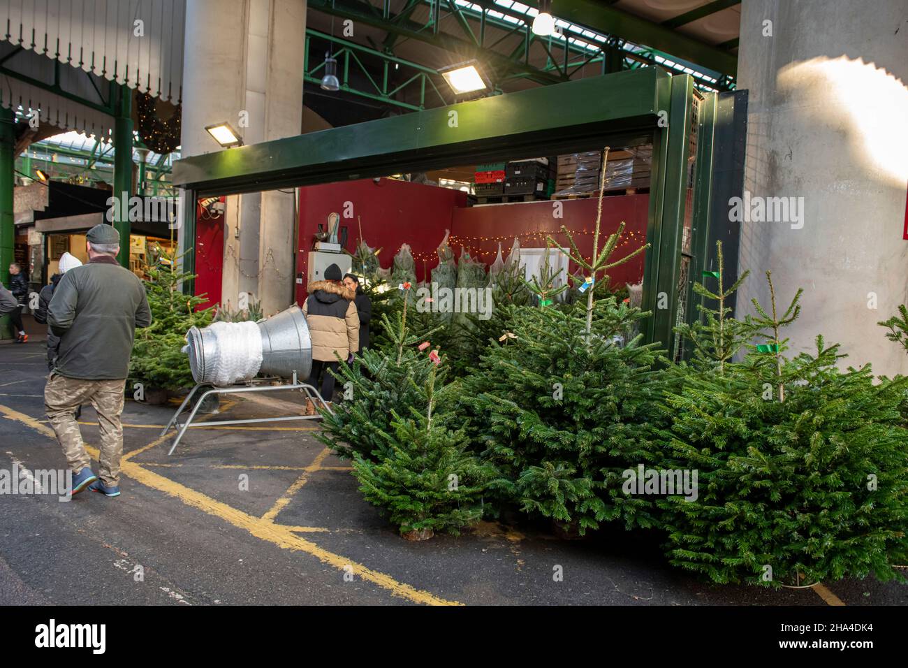 Christmas trees for sale at Borough Market in December 2021 Stock Photo