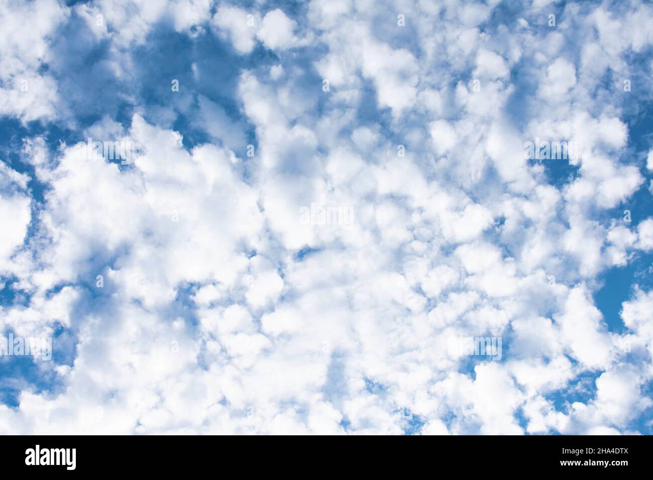 Beautiful blue sky with lots of small clouds Stock Photo - Alamy
