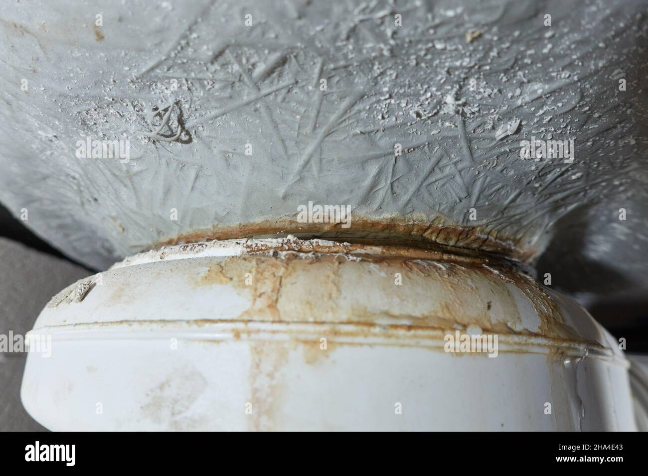 Leaking siphon of a shower tray in the bathroom, causes water damage