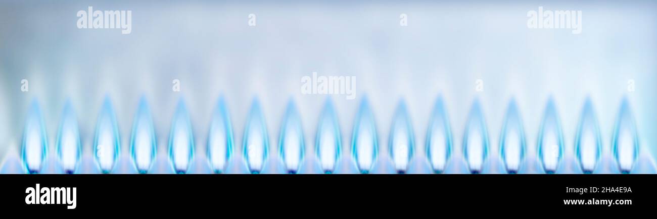 blue gas flames as a banner in front of a light background Stock Photo