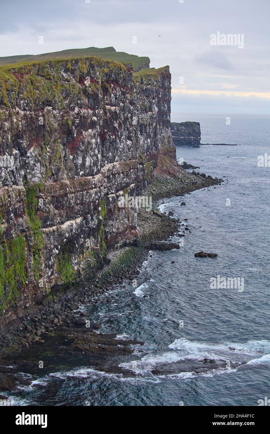 large bird cliffs,latrabjarg,vestfirdir,westfjords,iceland Stock Photo