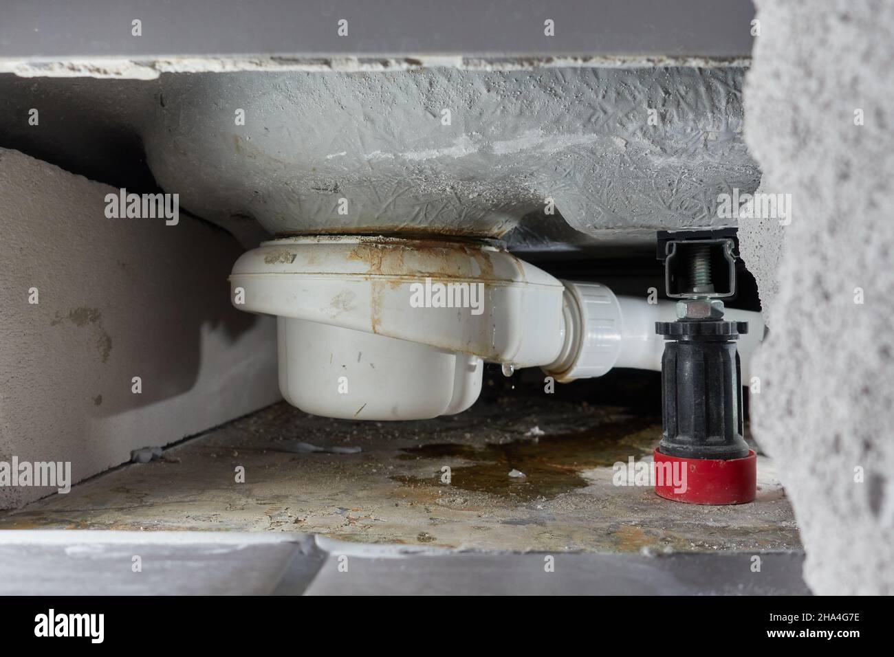 Leaking siphon of a shower tray in the bathroom, causes water damage