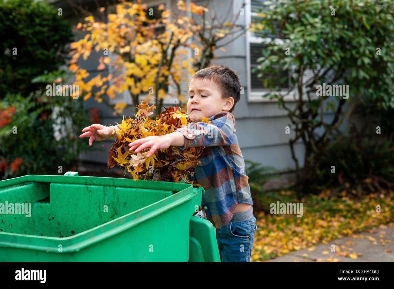 Boy throwing leaves into yard waste bin Stock Photo Alamy