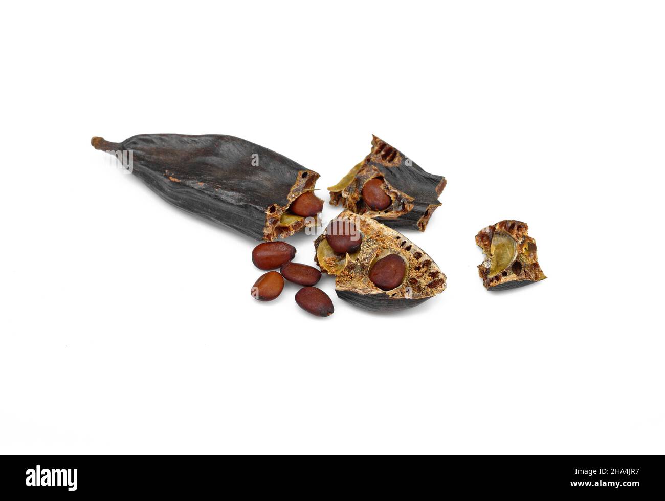 Carob. Ripe carob pods and seed isolated on white background Stock