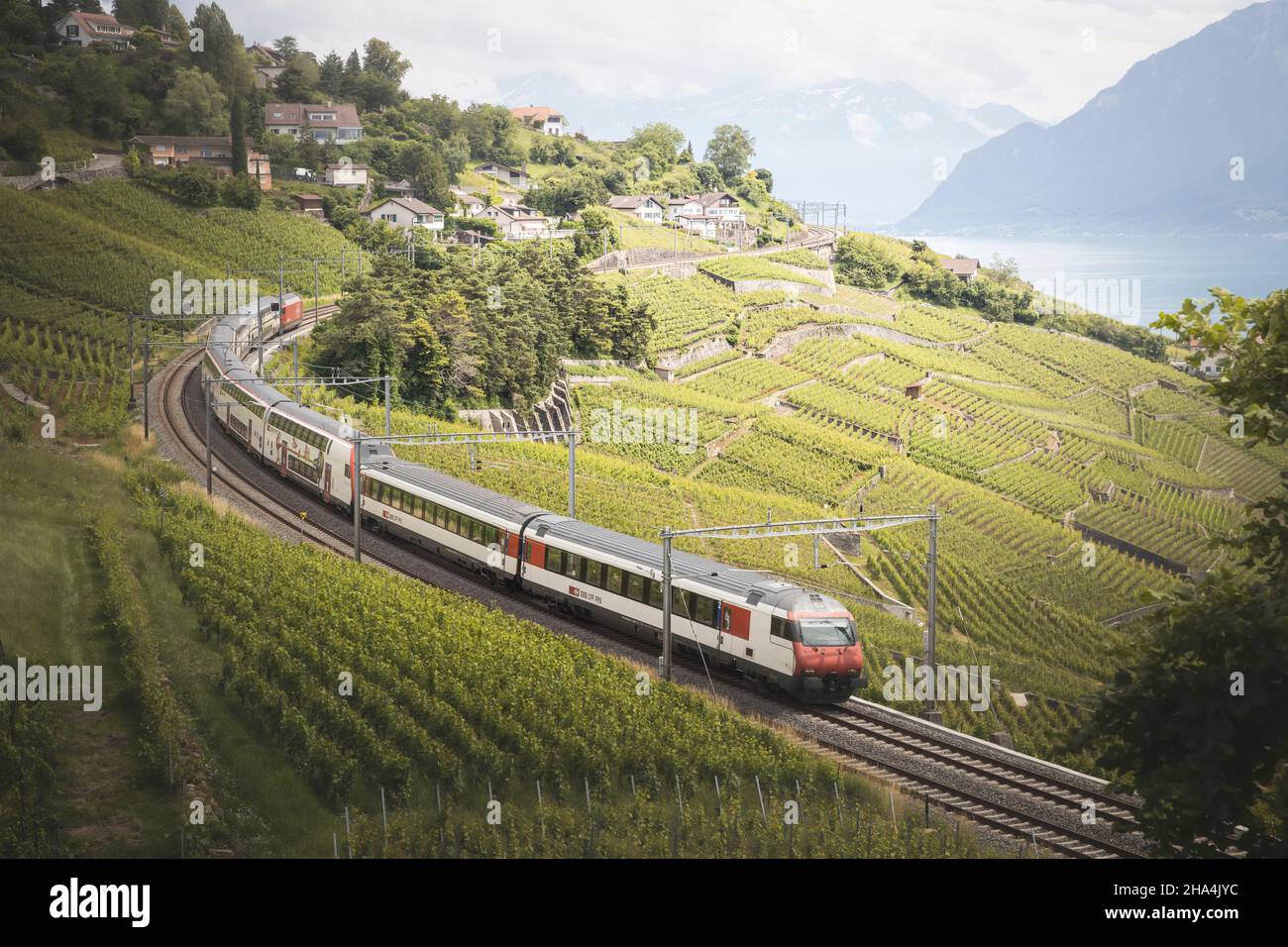 Train vineyard terraces lavaux hi-res stock photography and images - Alamy