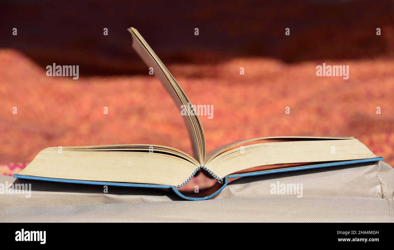 An open old book lies on a lounger in the sun and the pages of the book are blown away by the wind Stock Photo