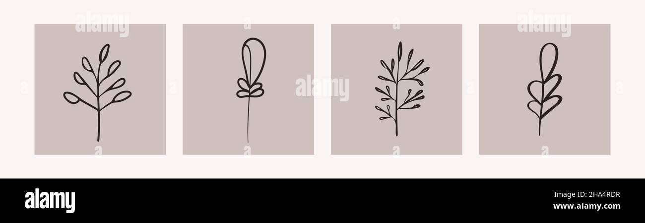 Organic nature.Branch with leaves on a square gray background. Stock Vector