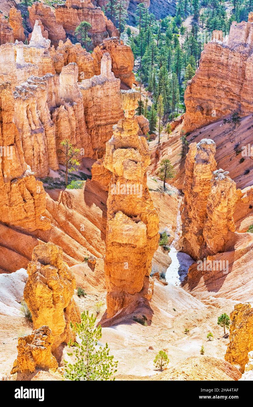 thor's hammer,bryce canyon,bryce canyon national park,utah,usa Stock