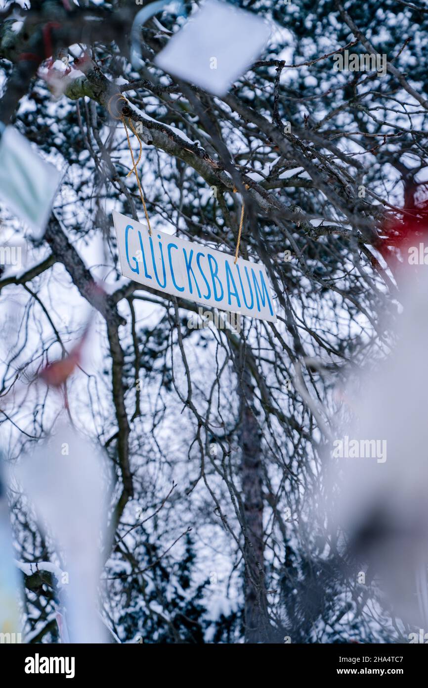 happiness tree,clara-zetkin-park,leipzig,saxony,germany,winter Stock Photo