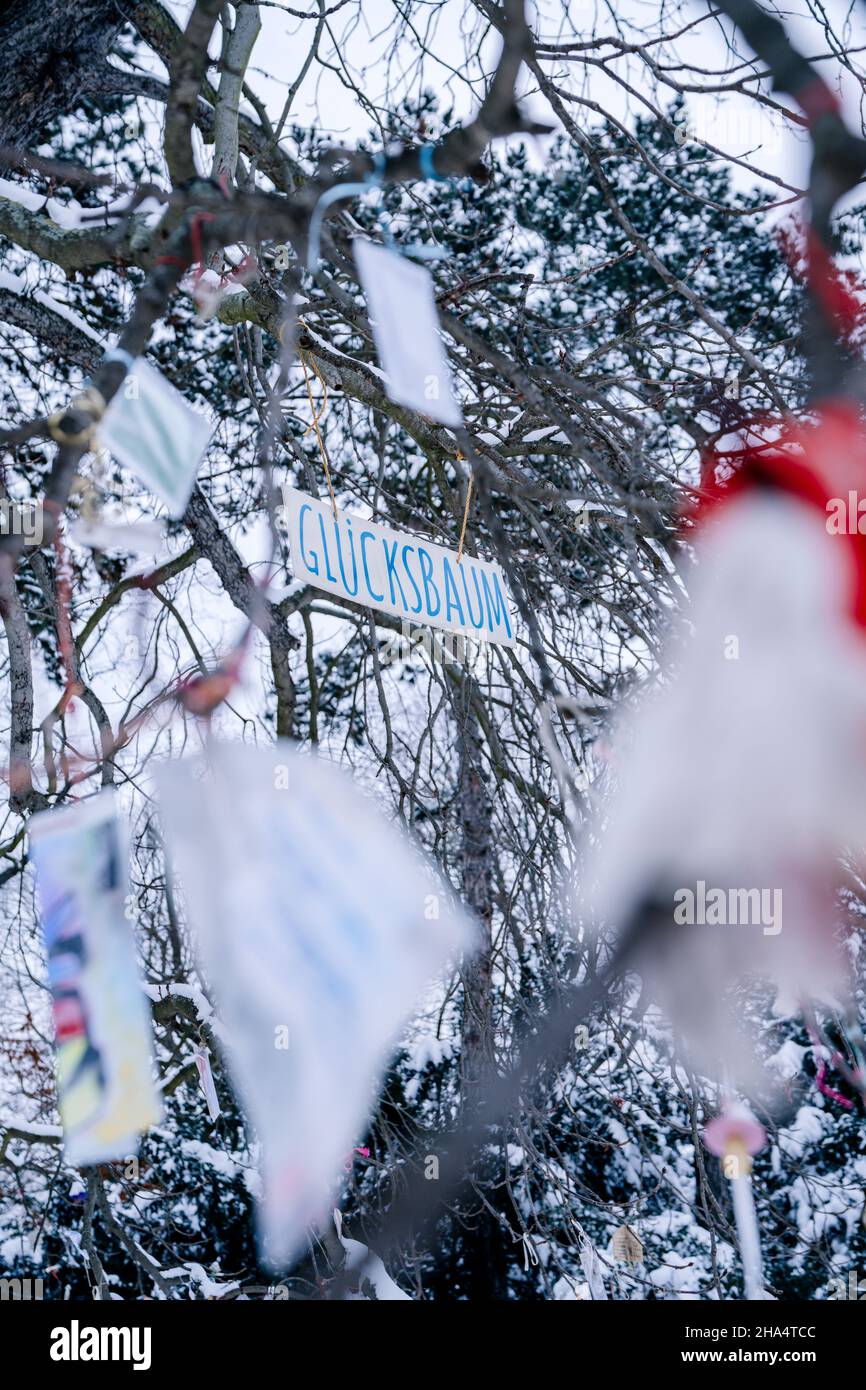 happiness tree,clara-zetkin-park,leipzig,saxony,germany,winter Stock Photo