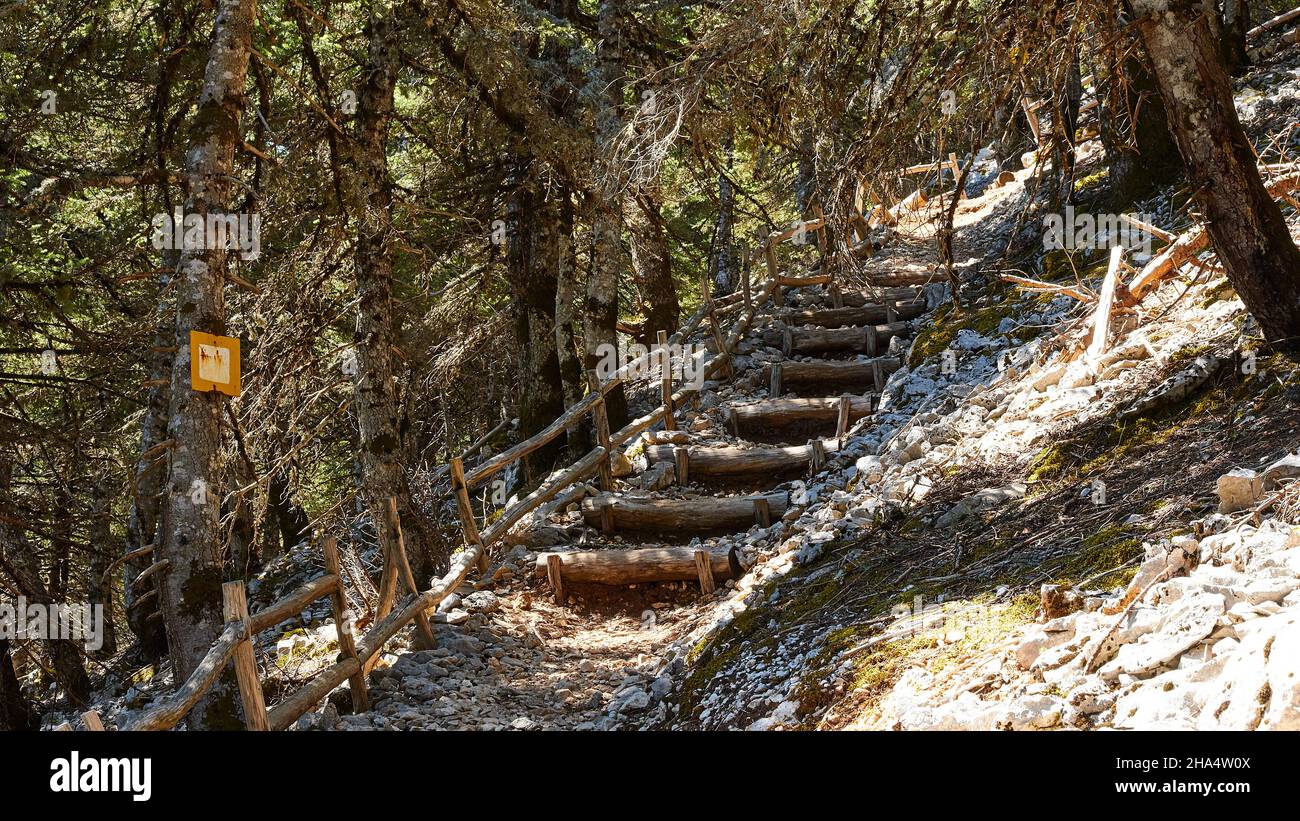 greece,greek islands,ionian islands,kefalonia,mountain,enos,summit,footpath to the summit,wooden steps built into the rock,trees all around Stock Photo