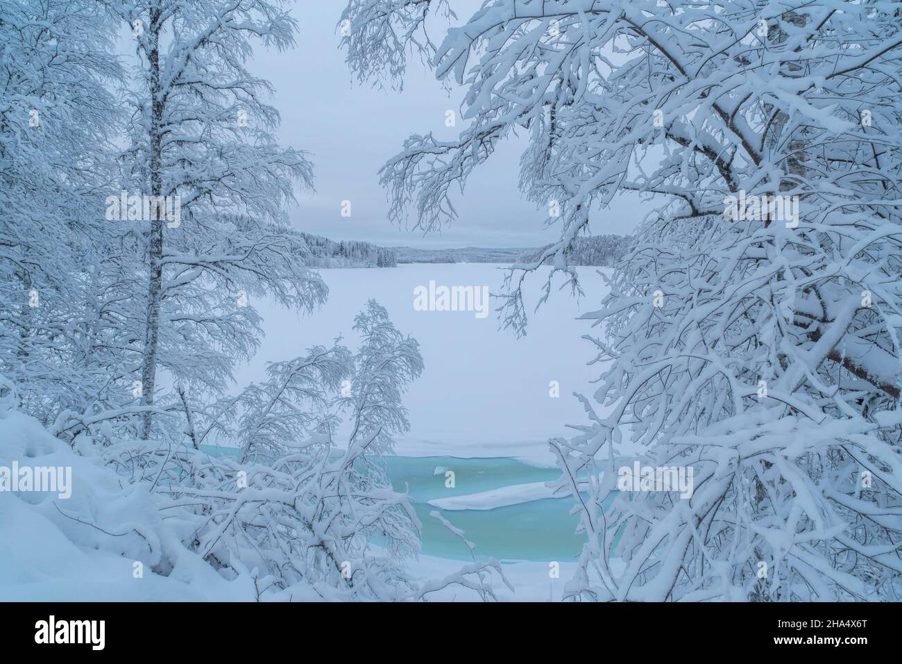 Frozen lake forest hi-res stock photography and images - Alamy
