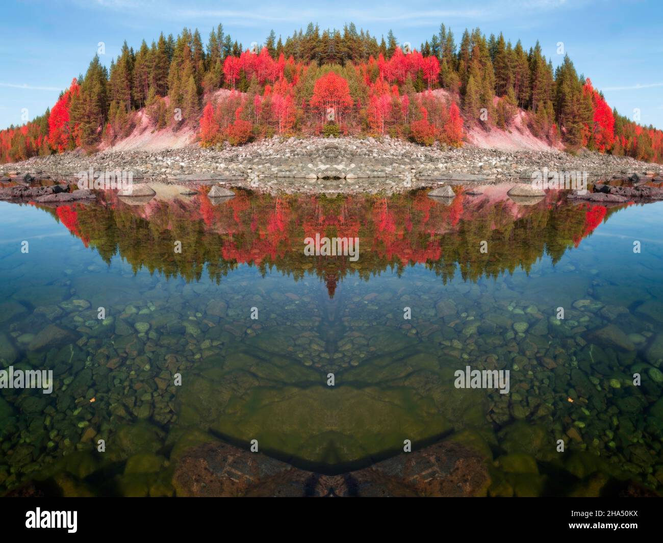 moss on rocks under water in a autumn landscape with trees,rocks in red tones a mirrored photo Stock Photo