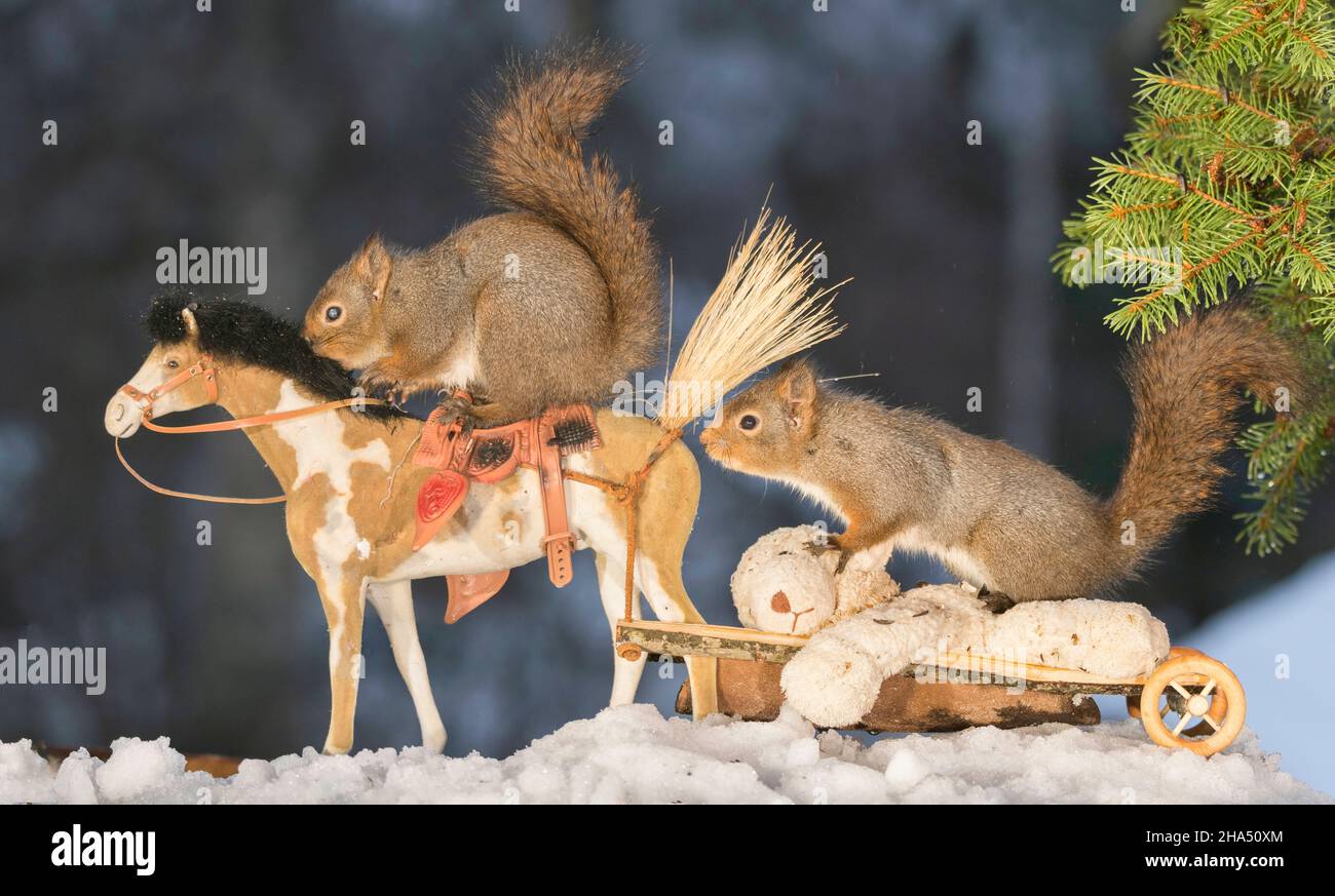 red squirrels in snow on horse and sleigh with doll Stock Photo