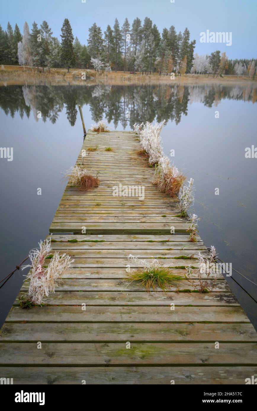 Frozen lake forest hi-res stock photography and images - Alamy