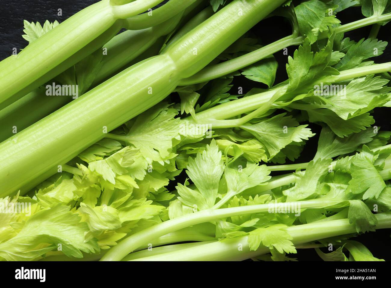 Top view of a bunch of celery stalks Stock Photo Alamy