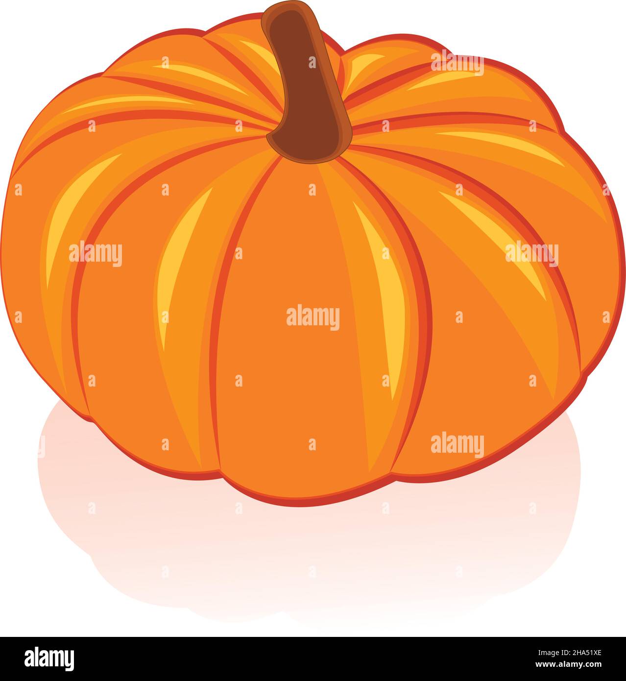 Orange large pumpkin on Stock Vector Images Alamy