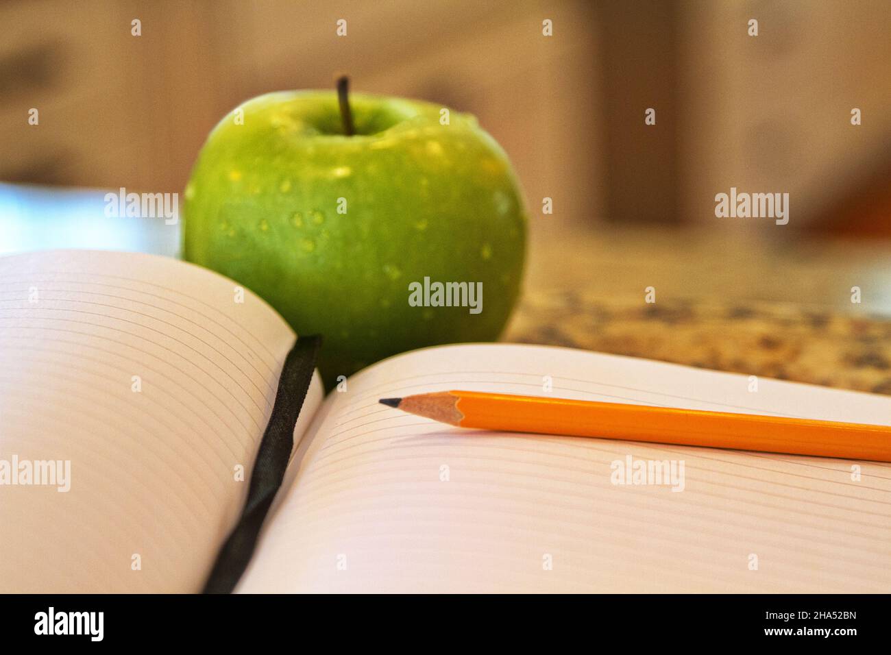 Open journal placed with green apple and journal suggests education, teaching, and learning insights as well as student notes and reflections. Stock Photo