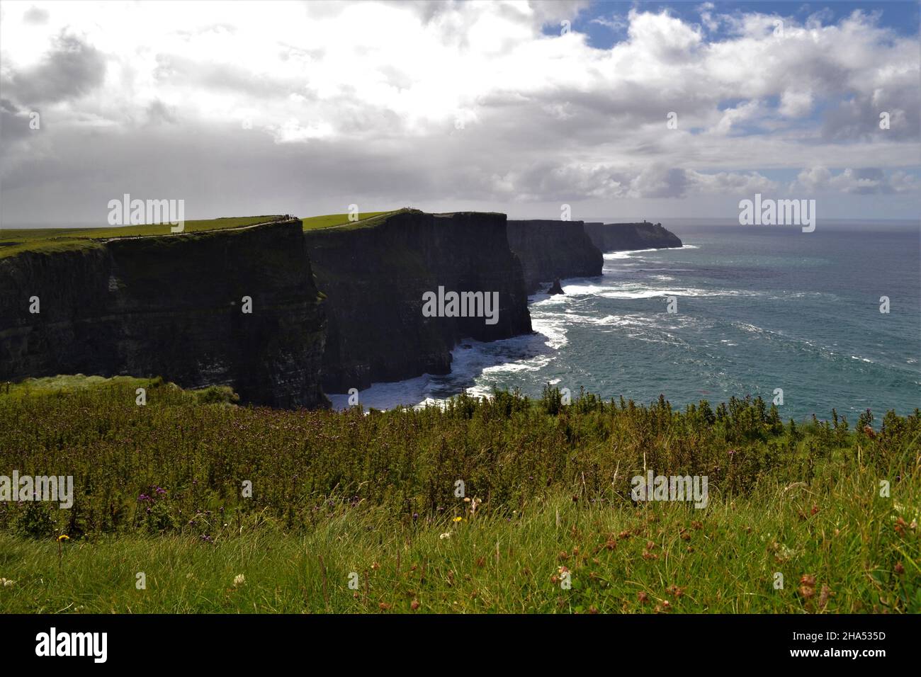 Cliffs of Moher in the summer sun (Ireland) Stock Photo